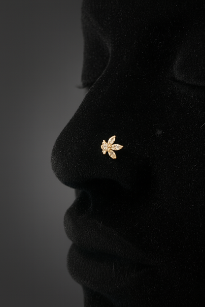 Piercing de nez ÉLYRA